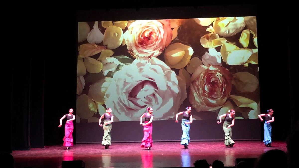 Las mejores imágenes de la celebración del Día de la Danza en León 2