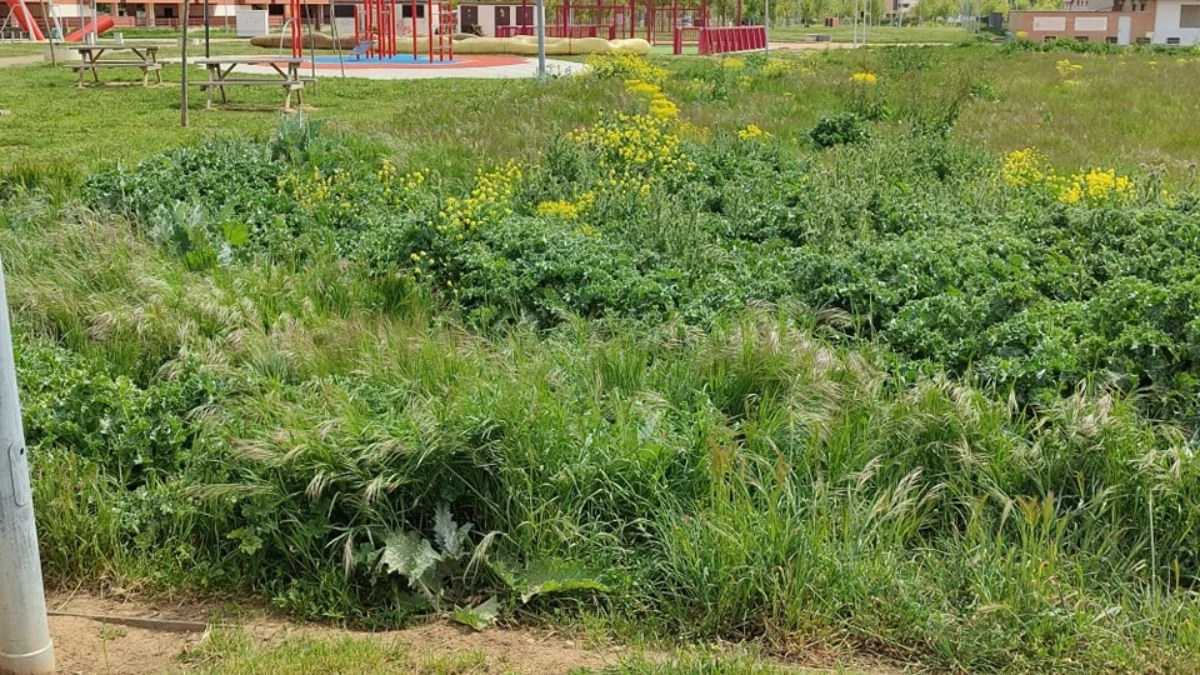 La Lastra continúa su lucha contra el Ayuntamiento por un barrio mejor 3