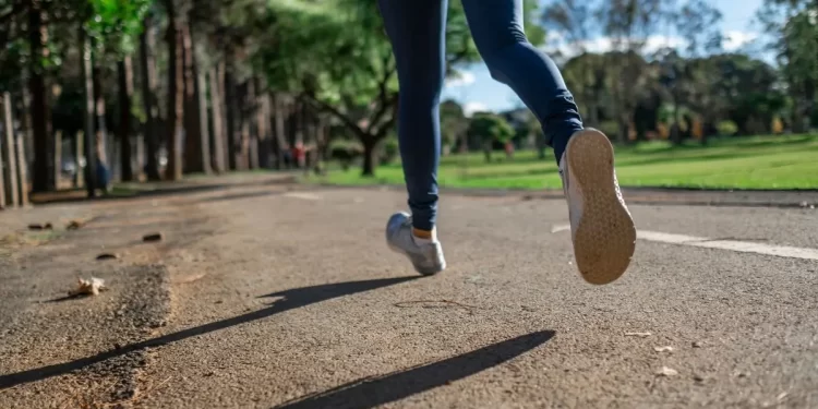 Las III Jornadas de la Media Maratón de León 1