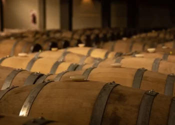 Los vinos de León han estado en la feria de vino más exclusiva