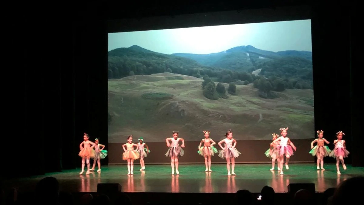 Las mejores imágenes de la celebración del Día de la Danza en León 3