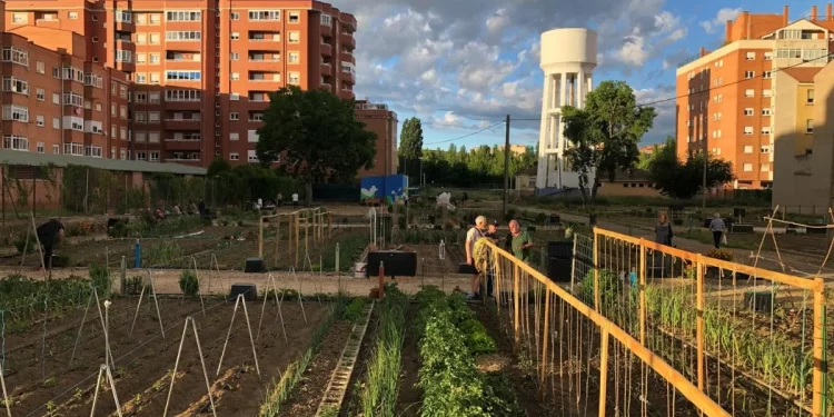 Los huertos urbanos de Pinilla cosechan el enfado en los leoneses 1