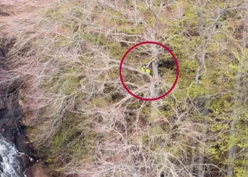 Rescatada en helicóptero una mujer herida en el bosque 1