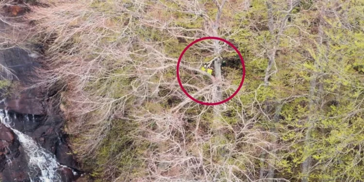 Rescatada en helicóptero una mujer herida en el bosque 1