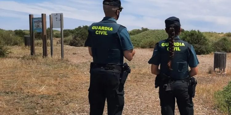 Un brazo humano localizado por un perro