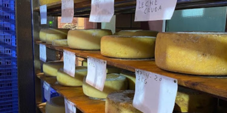 El mejor queso de España está en Canarias