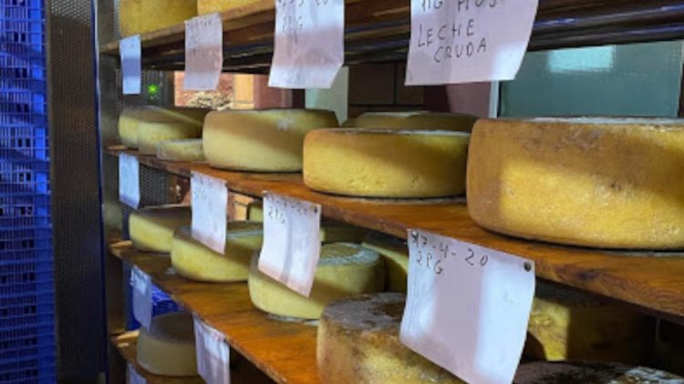El mejor queso de España está en Canarias