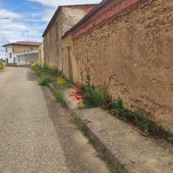 Los vecinos de un pueblo de León acusan la dejadez del Ayuntamiento 2