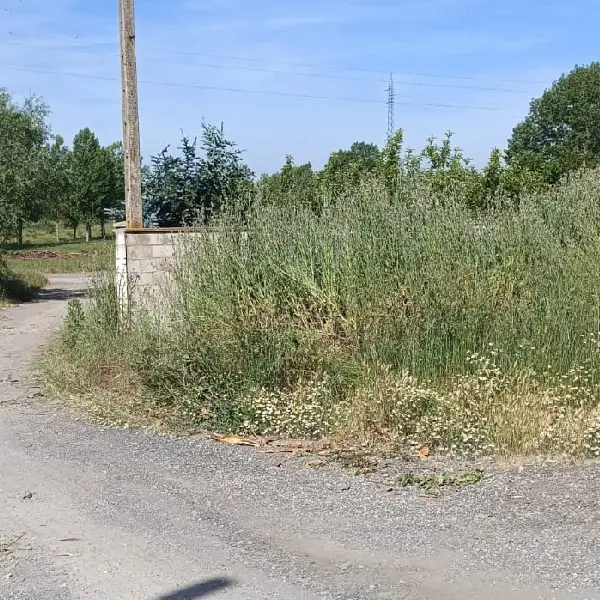 Los vecinos de un pueblo de León acusan la dejadez del Ayuntamiento 1