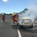 Arden en León 2 vehículos simultáneamente 1