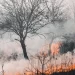 Declarado el riesgo de incendios forestales en Castilla y León 2