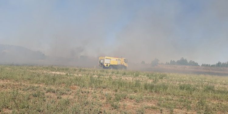 Un hombre muerto en un incendio forestal