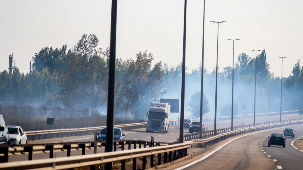 Espectacular incendio en las inmediaciones del cementerio de León 6