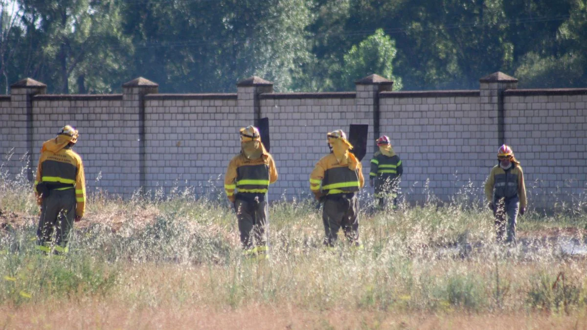 Espectacular incendio en las inmediaciones del cementerio de León 5