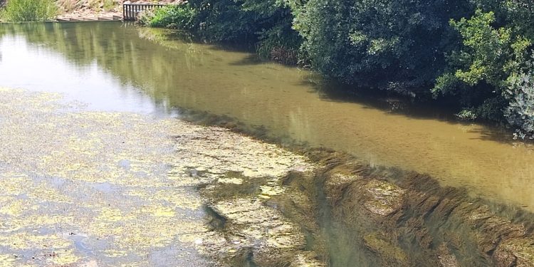 Un río de color verde, así es el aspecto