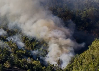 Se desatan dos incendios en la provincia de León 5