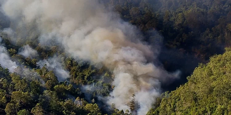 Se desatan dos incendios en la provincia de León 1