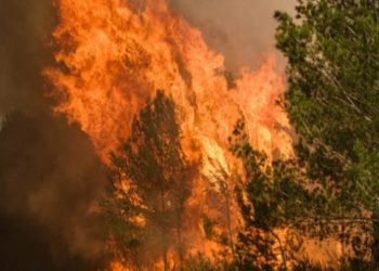 Riesgo de incendios forestales