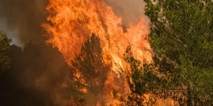 Riesgo de incendios forestales