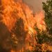 Riesgo de incendios forestales