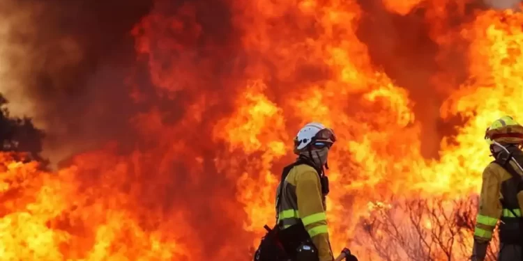 Incendios en León