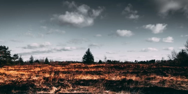 Este es el estado de los incendios forestales de León 1