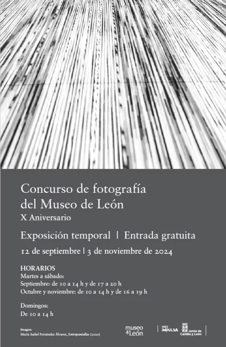 Esta es la nueva exposición gratuita del Museo de León 2