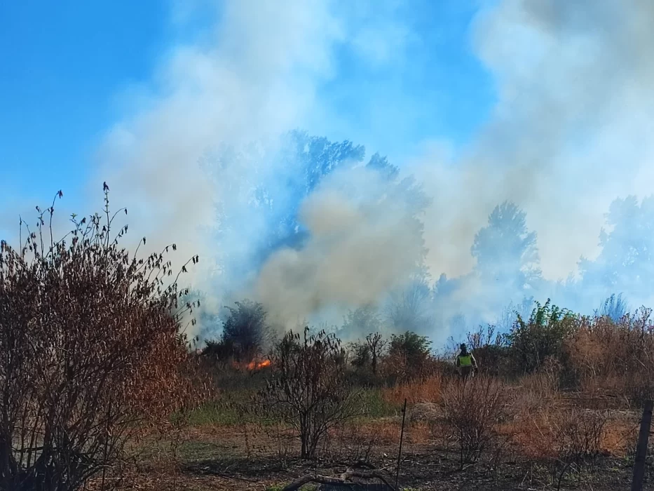 Increíble incendio en esta zona residencial de León 1