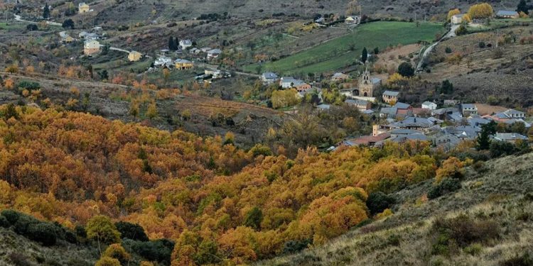 El bosque más bonito de España