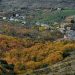 El bosque más bonito de España