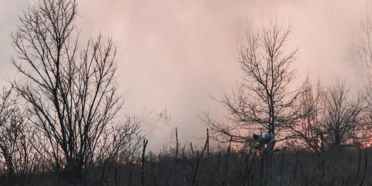 León hace frente a dos fuegos paralelos 1