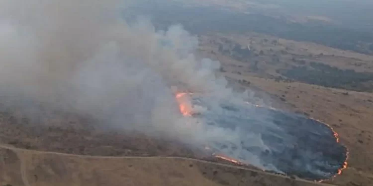 Rayos en León