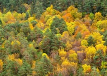 Otoño, la fecha en la que llega