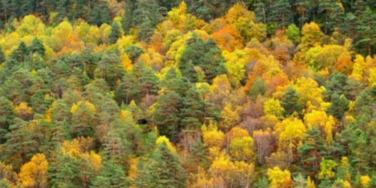 Otoño, la fecha en la que llega