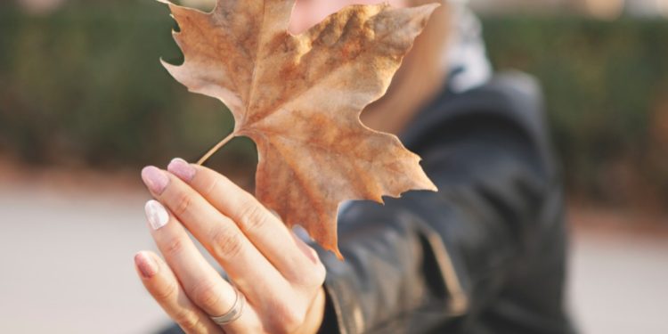 El otoño llega de repente