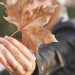 El otoño llega de repente