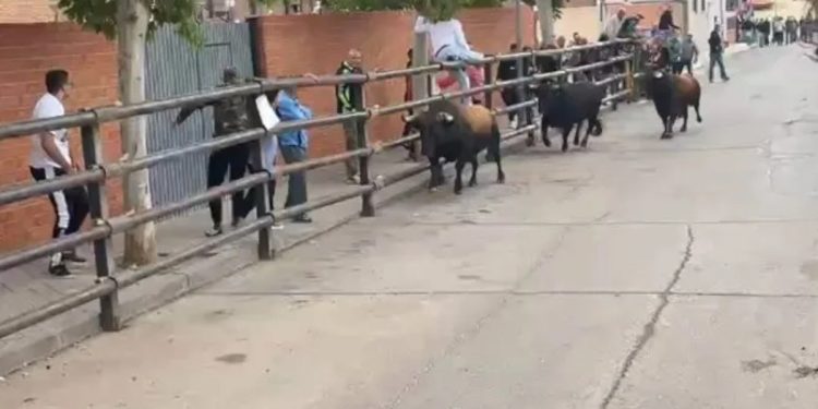 Encierro mortal en este pueblo