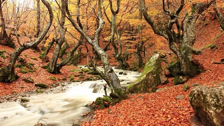 El pueblo de ensueño que debes visitar este otoño en León 1