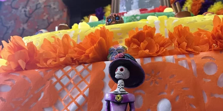 El Museo de la Emigración Leonesa abre su Altar del Día de Muertos dedicado a la mariposa Monarca 1