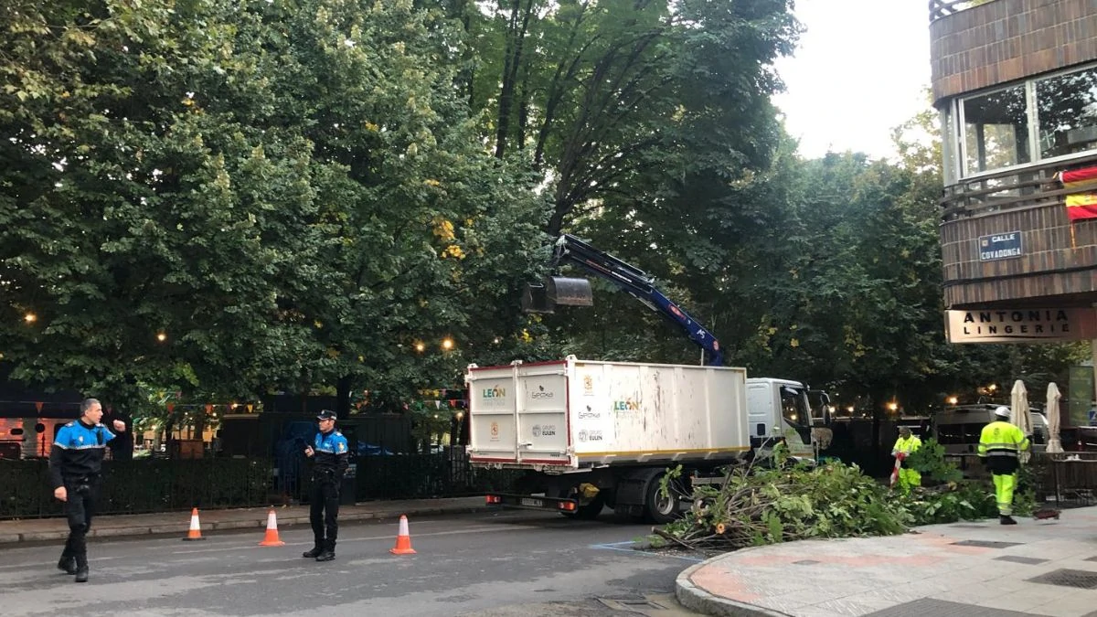 Caos en el Come y Calle tras la caída de una rama sobre un food truck 3