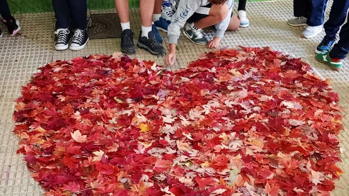 El arte del otoño brilla en este colegio de León 1