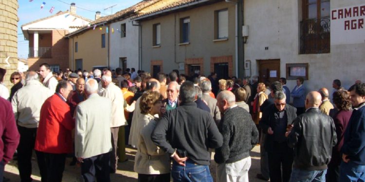 Avellanas del cielo