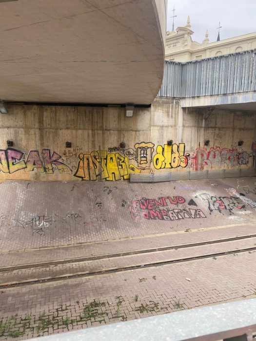 Un gran estercolero debajo de un puente de León 2