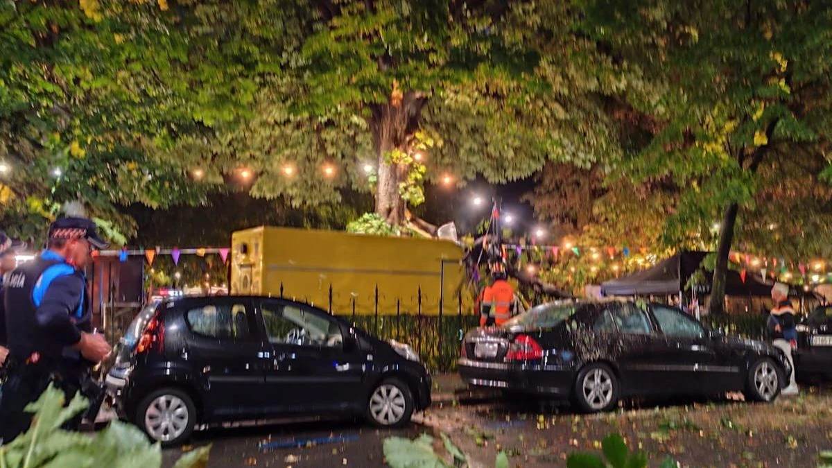 Caos en el Come y Calle tras la caída de una rama sobre un food truck 1