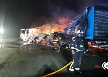 Se calcina un camión en Pajares 2