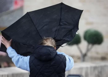 Viento en León