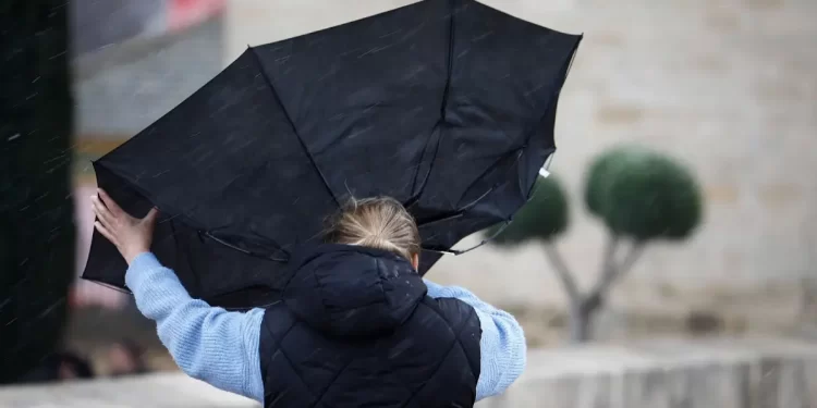 Viento en León