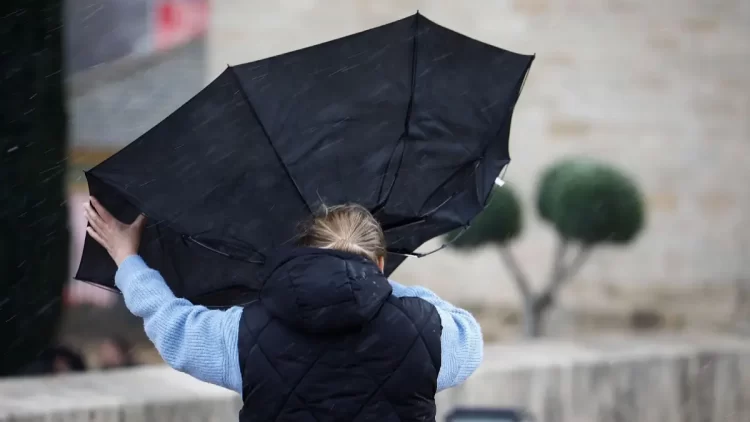 Viento en León