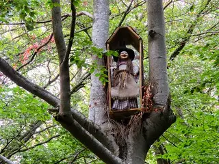 Este es el encantador bosque de León donde habita una bruja 1