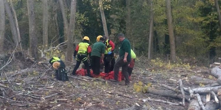 Complicado rescate de un trabajador en el monte